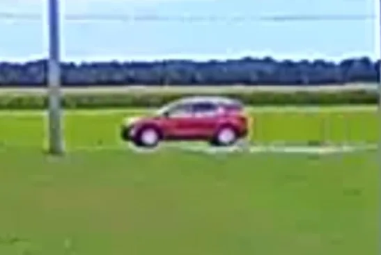 Delaware State Police asking for tips about a red or maroon vehicle in a fatal Seaford hit-and-run